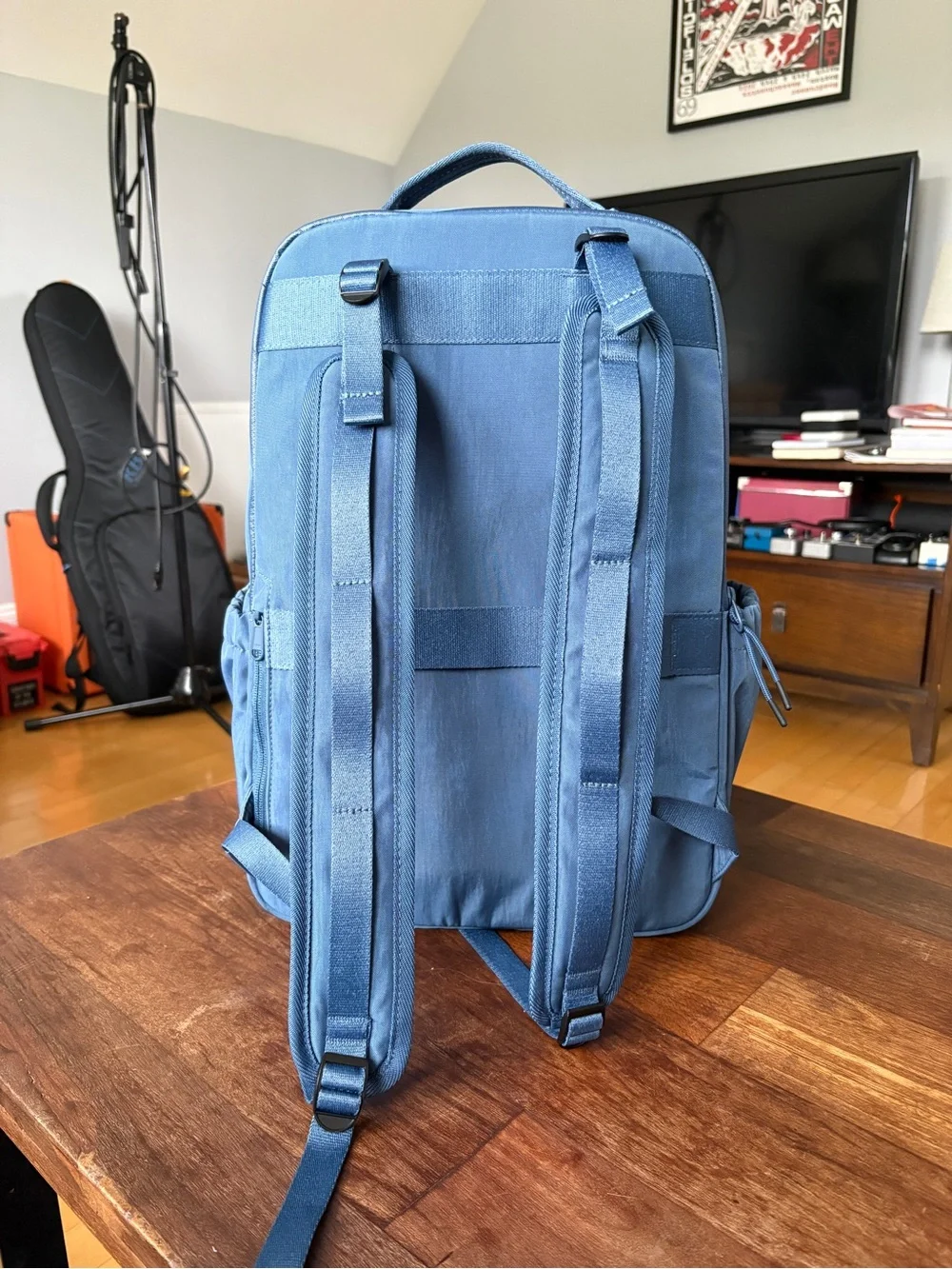 Bagsmart Moss 22l backpack like new